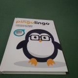 PINGULINGO -AARON STONE -INVATA ENGLEZA IN MAI PUTIN DE 4 SAPTAMAMI