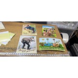 Carti postale A8064han