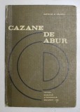 CAZANE DE ABUR de NICOLAE A. PANOIU , 1982