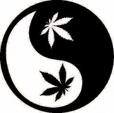 Sticker Auto Yin Yang Weed foto