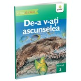 De-a v-ati ascunselea/Vreau sa citesc! Nivelul 3