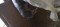 Foto  - 1
