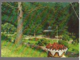 CPI B14596 - CARTE POSTALA - SLANIC MOLDOVA, VEDERE DIN PARC