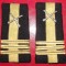 Pereche de grade militare de colonel de artilerie **