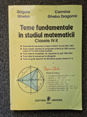 TEME FUNDAMENTALE DE MATEMATICA CLASELE IV-X - Gheba foto