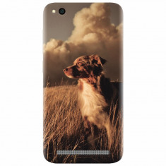 Husa silicon pentru Xiaomi Redmi 5A, Alone Dog Animal In Grass