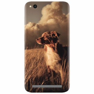 Husa silicon pentru Xiaomi Redmi 5A, Alone Dog Animal In Grass foto