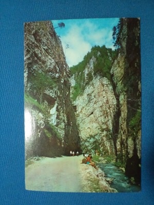 CHEILE DIMBOVICIOAREI foto