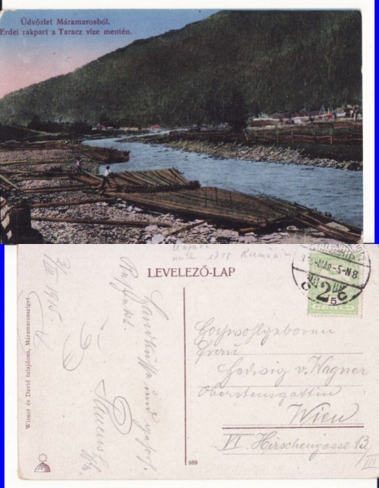 Maramures, Taras, Taracz-Plute -tipuri, rara