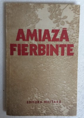 (C479) AMIAZA FIERBINTE foto