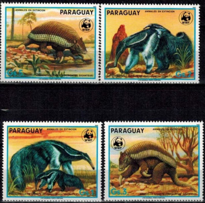 PARAGUAY 1985 WWF ARMADILLO foto