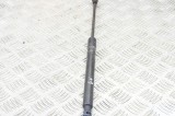 Amortizor haion st&acirc;nga DACIA SANDERO II 2015 OEM: 904529943R 13929164