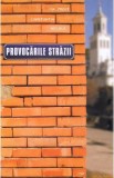 Provocarile strazii - Constantin Necula