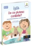 Cumpara ieftin De ce plutesc corabiile? Descopera principiul flotabilitatii/David A. Adler
