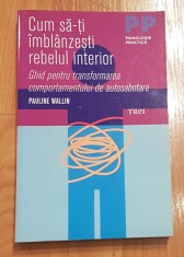 Cum sa-ti imblanzesti rebelul interior de Pauline Wallin. Psihologie Practica