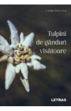 Tulpini de ganduri visatoare - Corina Stricescu