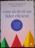Cum sa devii un lider eficient - Dale Carnegie