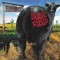 CD Blink 182 &lrm;&ndash; Dude Ranch, original