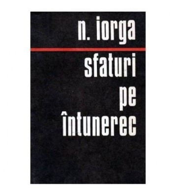 Nicolae Iorga - Sfaturi pe intunerec - 103501 foto