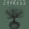 Chasing Cypress