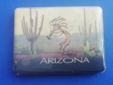 D3 - Magnet frigider - Tematica turism - America 17