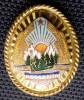 M.112 ROMANIA RSR ARMATA CUC BONETA/CASCHETA INSIGNA MILITARA