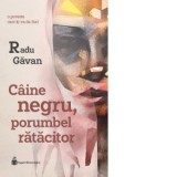 Caine negru, porumbel ratacitor - Radu Gavan