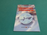 CUCERITORII VĂZDUHULUI / IOAN DRAGOȘ STINGHE/ 2006 * 52