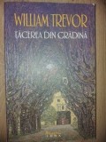 Tacerea din gradina- William Trevor