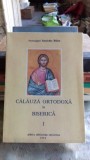 CALAUZA ORTODOXA IN BISERICA - IOANICHIE BALAN VOL.1