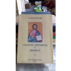 CALAUZA ORTODOXA IN BISERICA - IOANICHIE BALAN VOL.1
