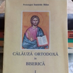 CALAUZA ORTODOXA IN BISERICA - IOANICHIE BALAN VOL.1