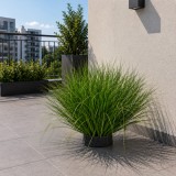 Planta artificiala tip iarba curbata, 38 cm, verde, densitate mare
