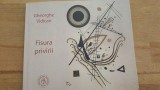 Fisura privirii- Gheorghe Vidican