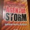 AGENTUL STORM. SPION IN AL-QAEDA