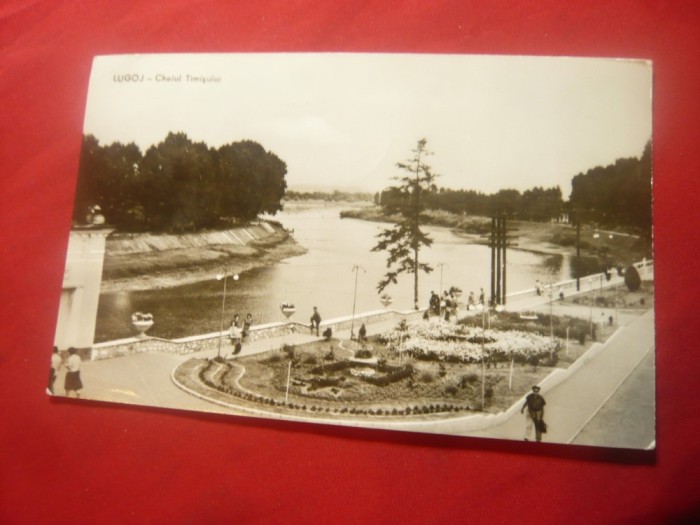 Ilustrata Lugoj - Cheiul Timisului ,circulat 1963