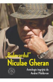 Bulevardul Niculae Gheran - Andrei Moldovan