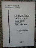 ACTIVITATILE PRACTICE MIJLOACE IN ORIENTAREA SCOLARA SI PROFESORALA- GROPPOSILA