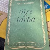 Fire de iarba - Walt Withman
