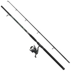 Combo MITCHELL Catch Pro II Catfish Combo, 100-300g, 2.70m, 2seg