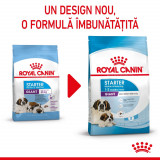 Royal Canin Giant Starter Mother &amp; Babydog, mama și puiul, hrană uscată c&acirc;ine, 15kg