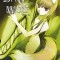 Spice and Wolf, Vol. 6 (Manga)