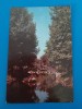 CPIB 23191 CARTE POSTALA - PITESTI. VEDERE DIN PARCUL ARGESUL, CIRCULATA, 1966, STAMPILE, TIMBRU, Fotografie