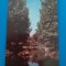 CPIB 23191 CARTE POSTALA - PITESTI. VEDERE DIN PARCUL ARGESUL, CIRCULATA, 1966, STAMPILE, TIMBRU
