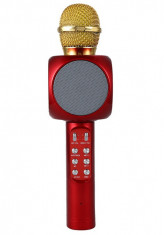 Microfon Karaoke Wireles cu Boxa si Lumini foto