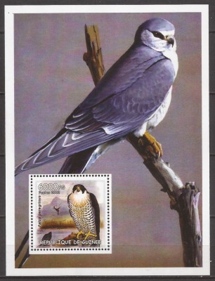 GUINEE 2002 FAUNA PASARI ( colita dantelata ) MNH foto
