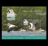 2012 - Păsări acvatice, colita neuzata