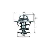 Mahle termostat, lichid racire Behr