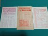 LOT 24 PROGRAME FOTBAL PETROLUL PLOIEȘTI * ANII 80 * A
