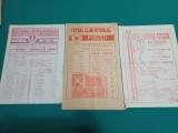 LOT 24 PROGRAME FOTBAL PETROLUL PLOIEȘTI * ANII 80 * A